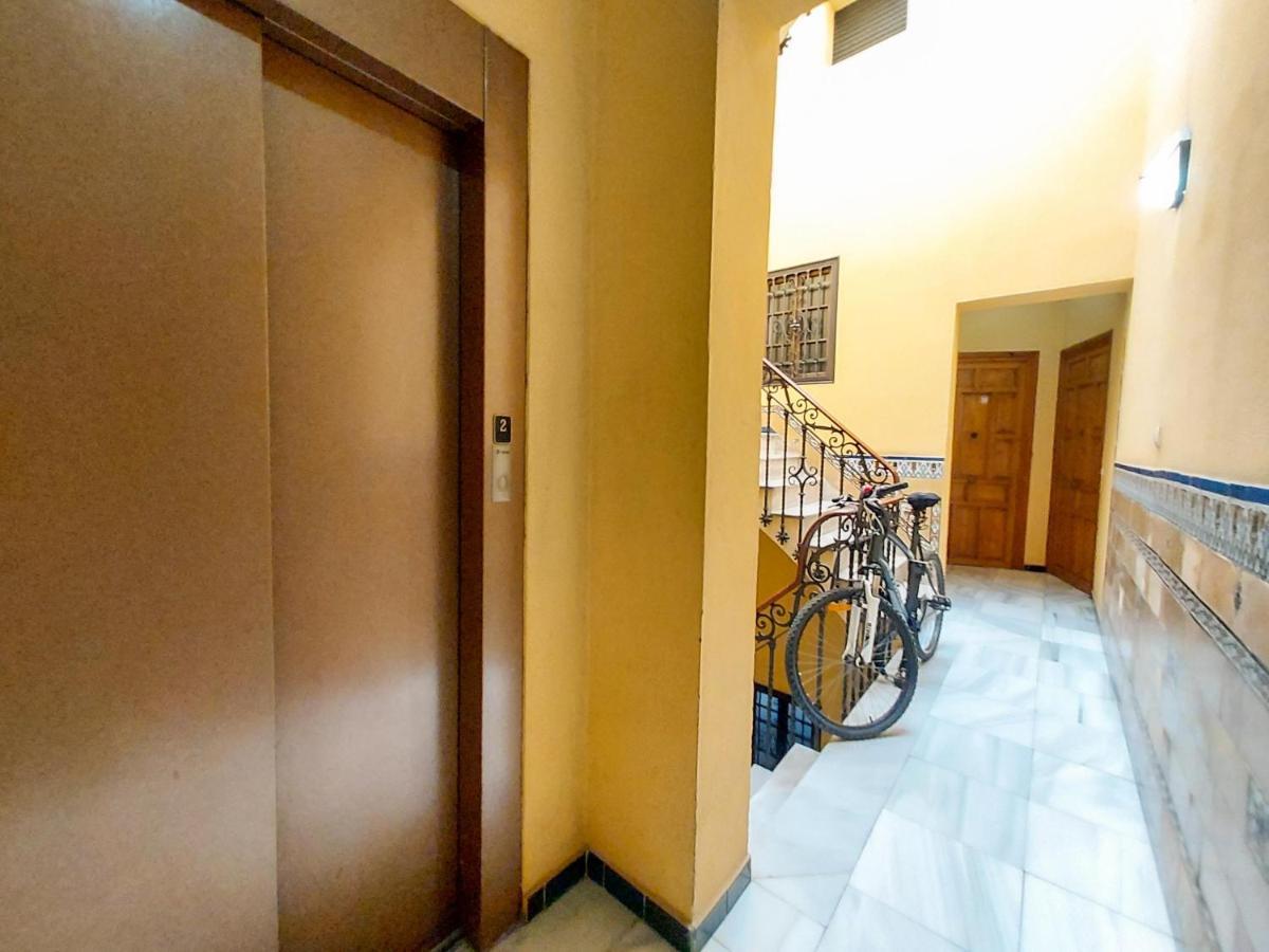 Apartamento Alameda Calatrava 세비야 외부 사진